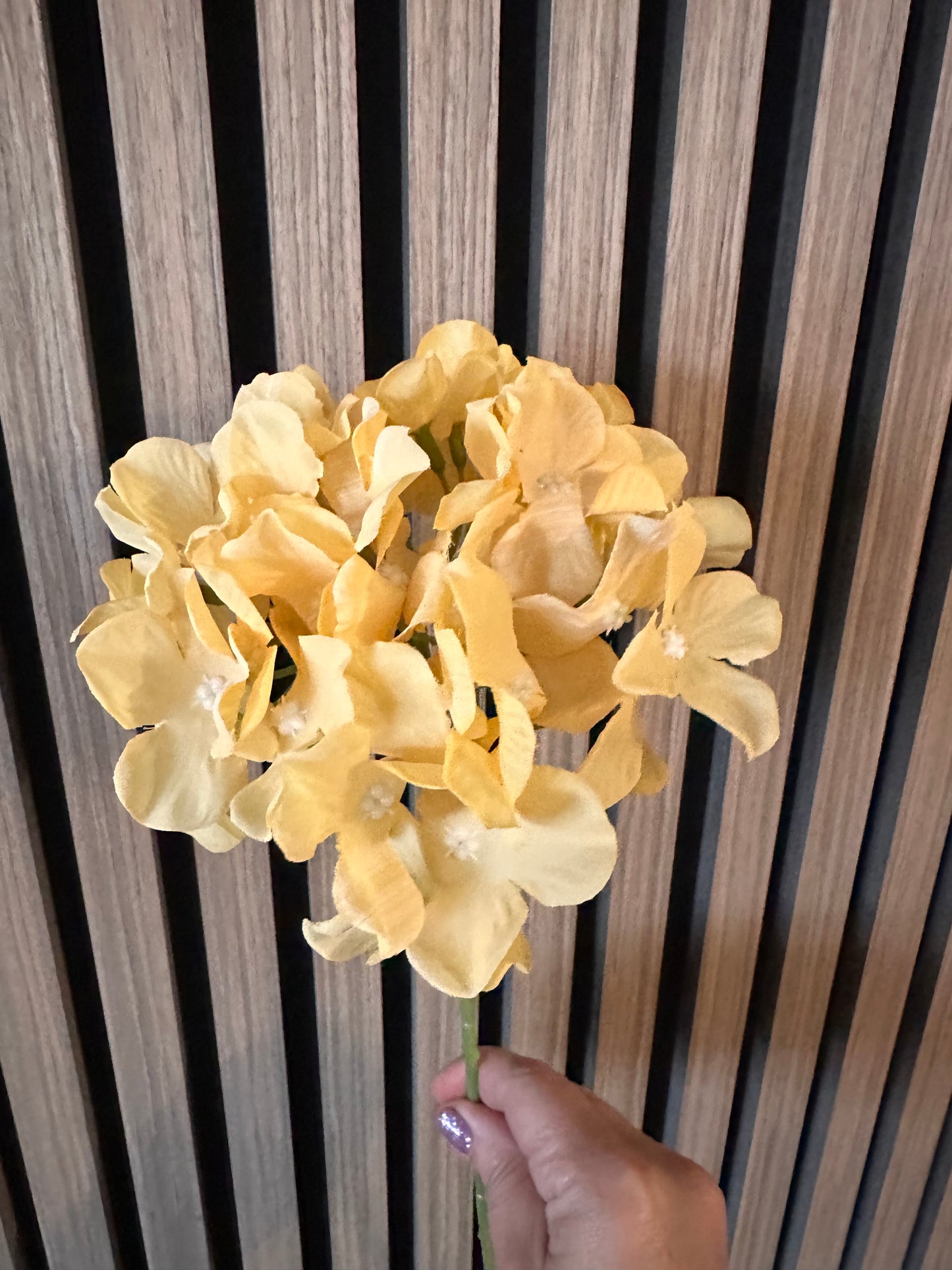Yellow Hydrangea Thin Stem