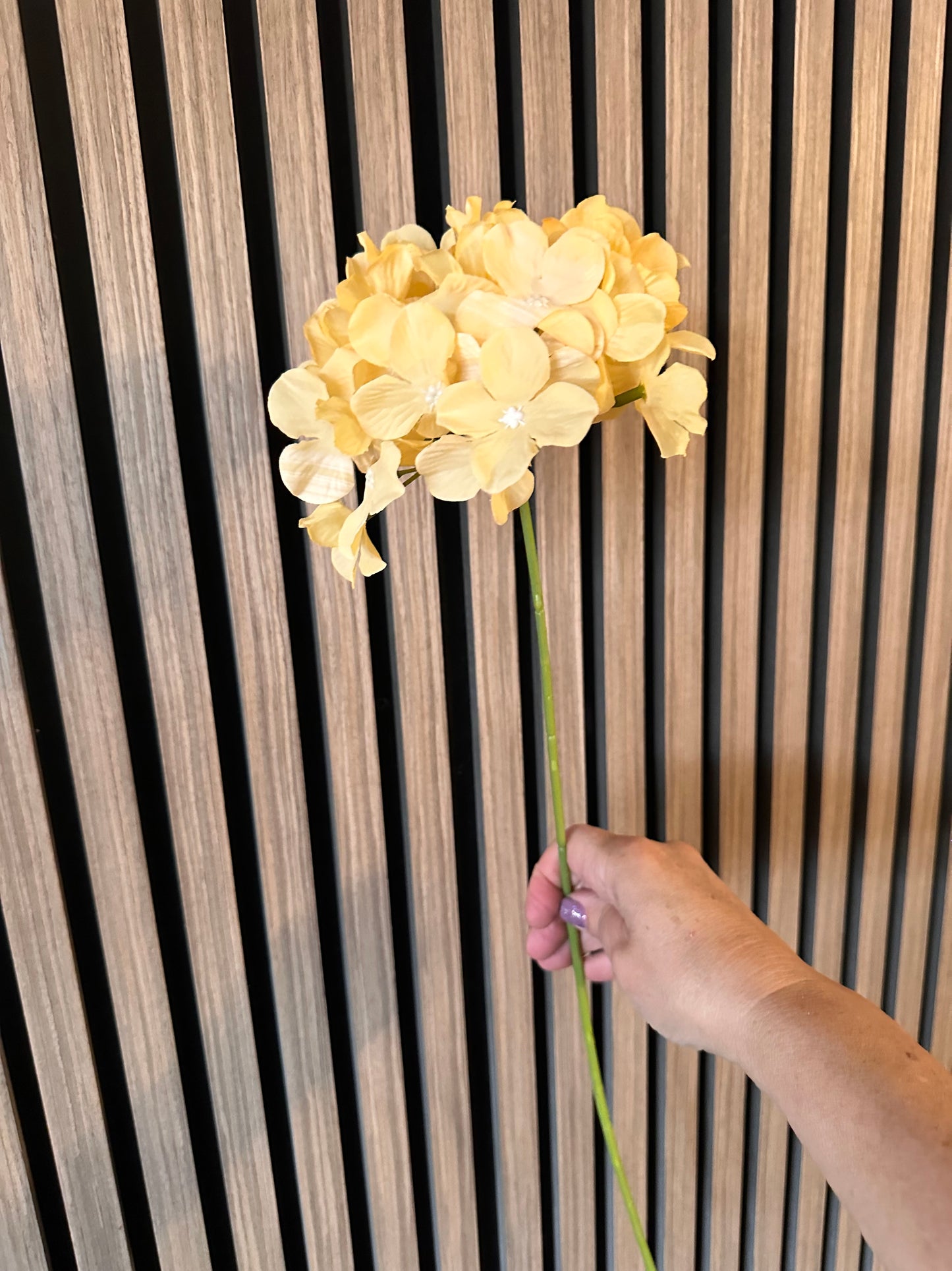 Yellow Hydrangea Thin Stem