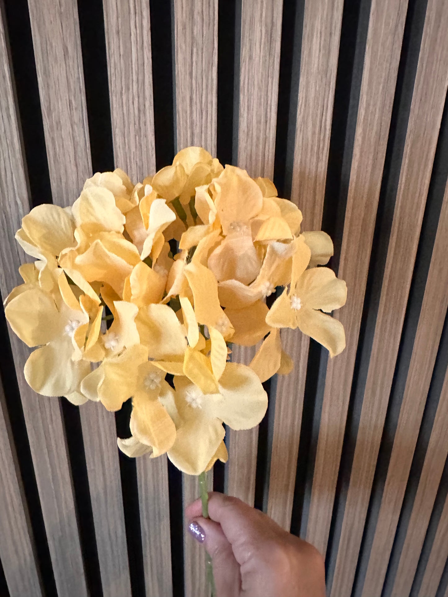 Yellow Hydrangea Thin Stem