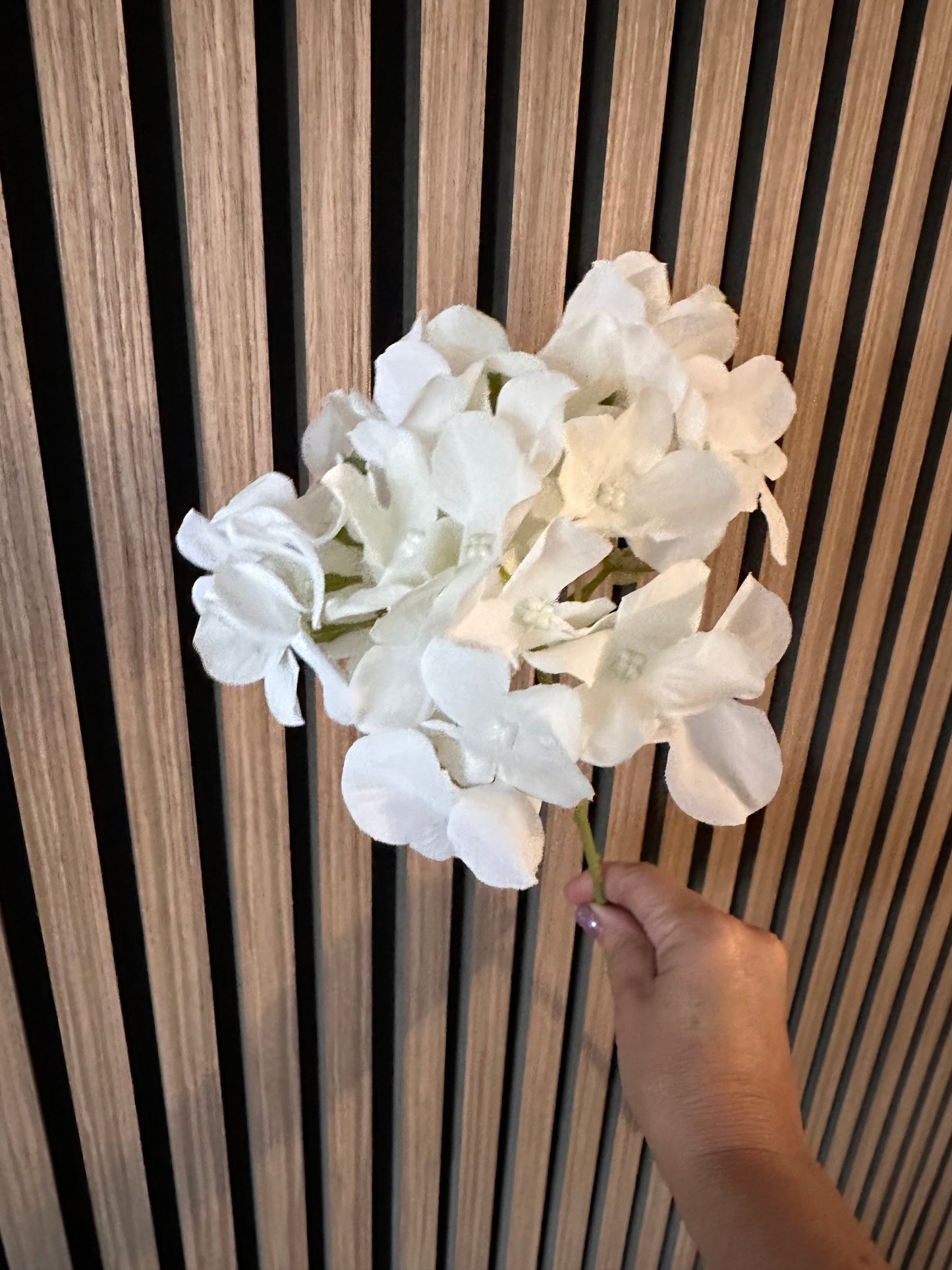 White Hydrangea Thin Stem