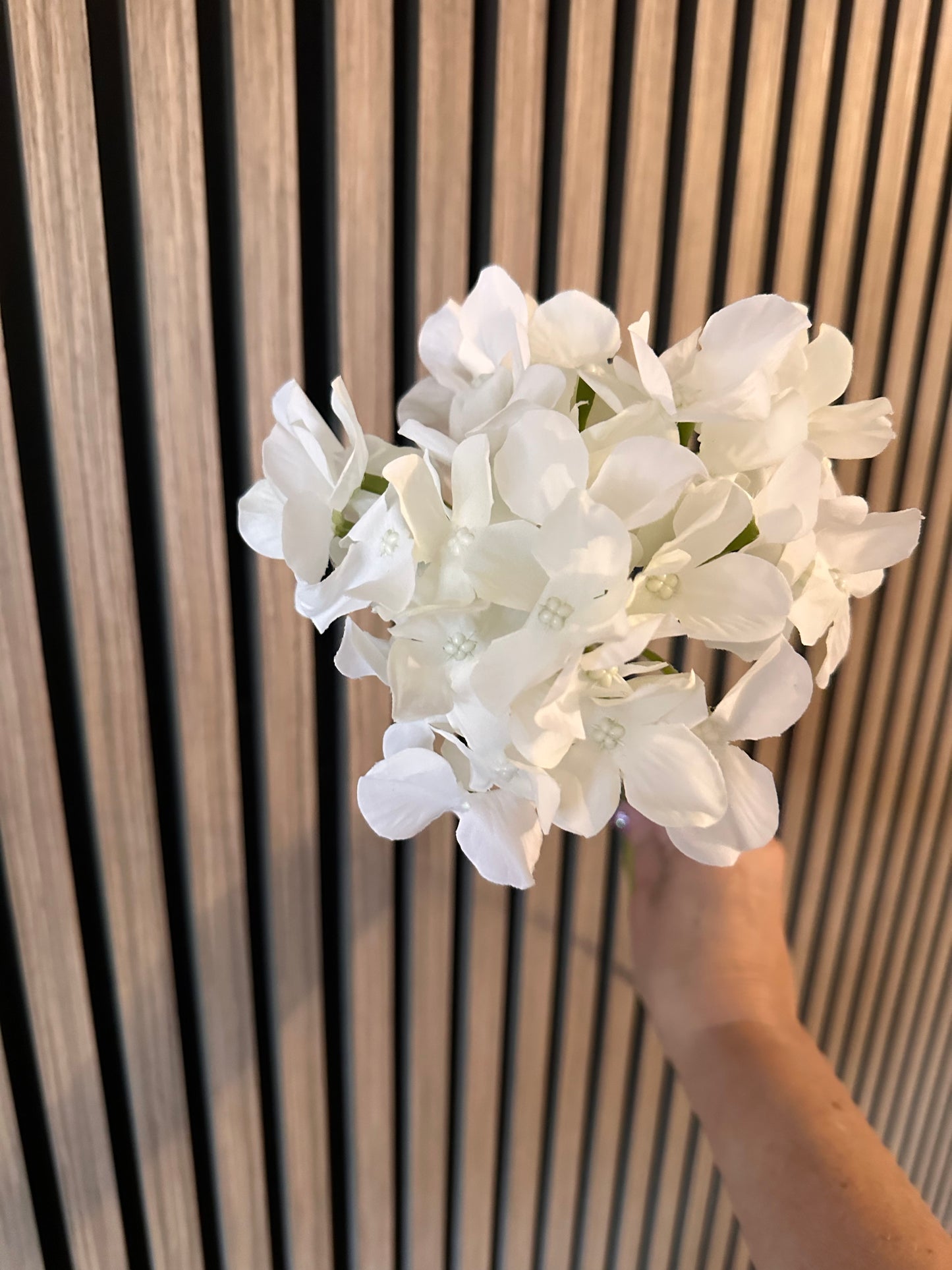White Hydrangea Thin Stem