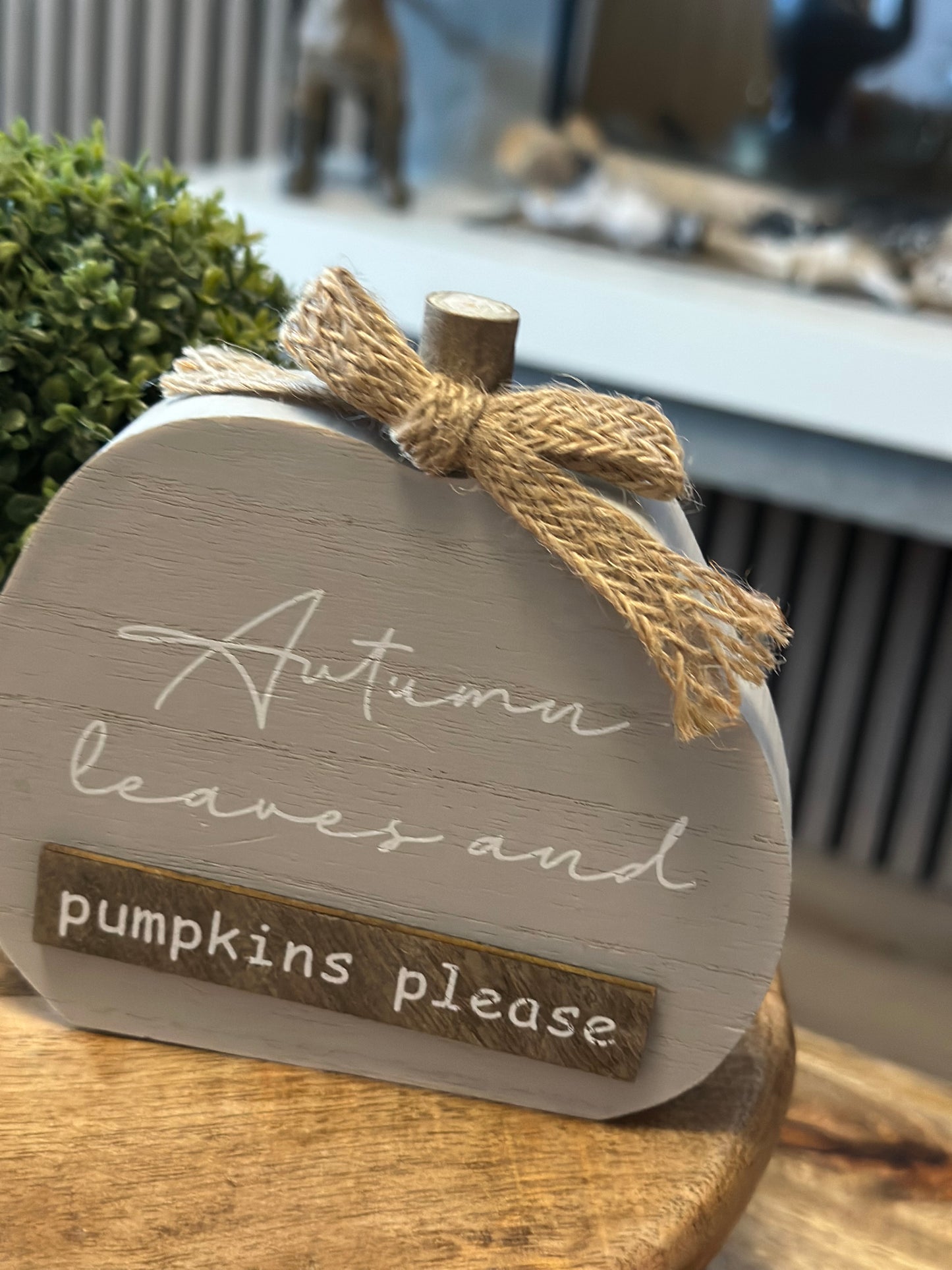 Autumn Wooden Pumpkin Signs - Choice of Two