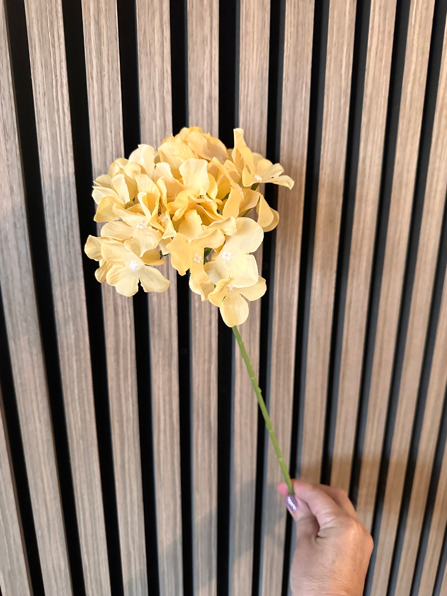 Yellow Hydrangea Thin Stem