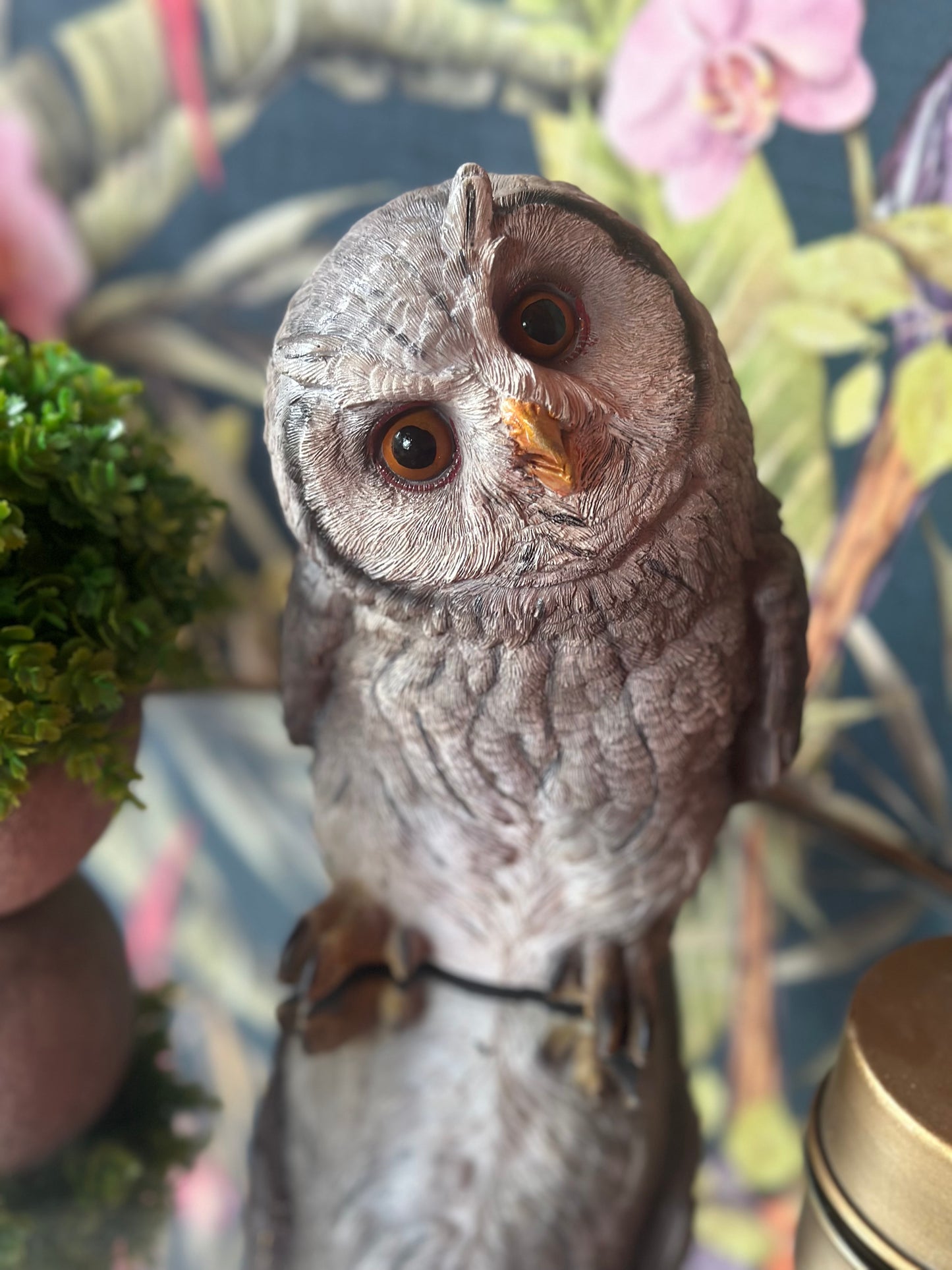Coloured Decorative Owl