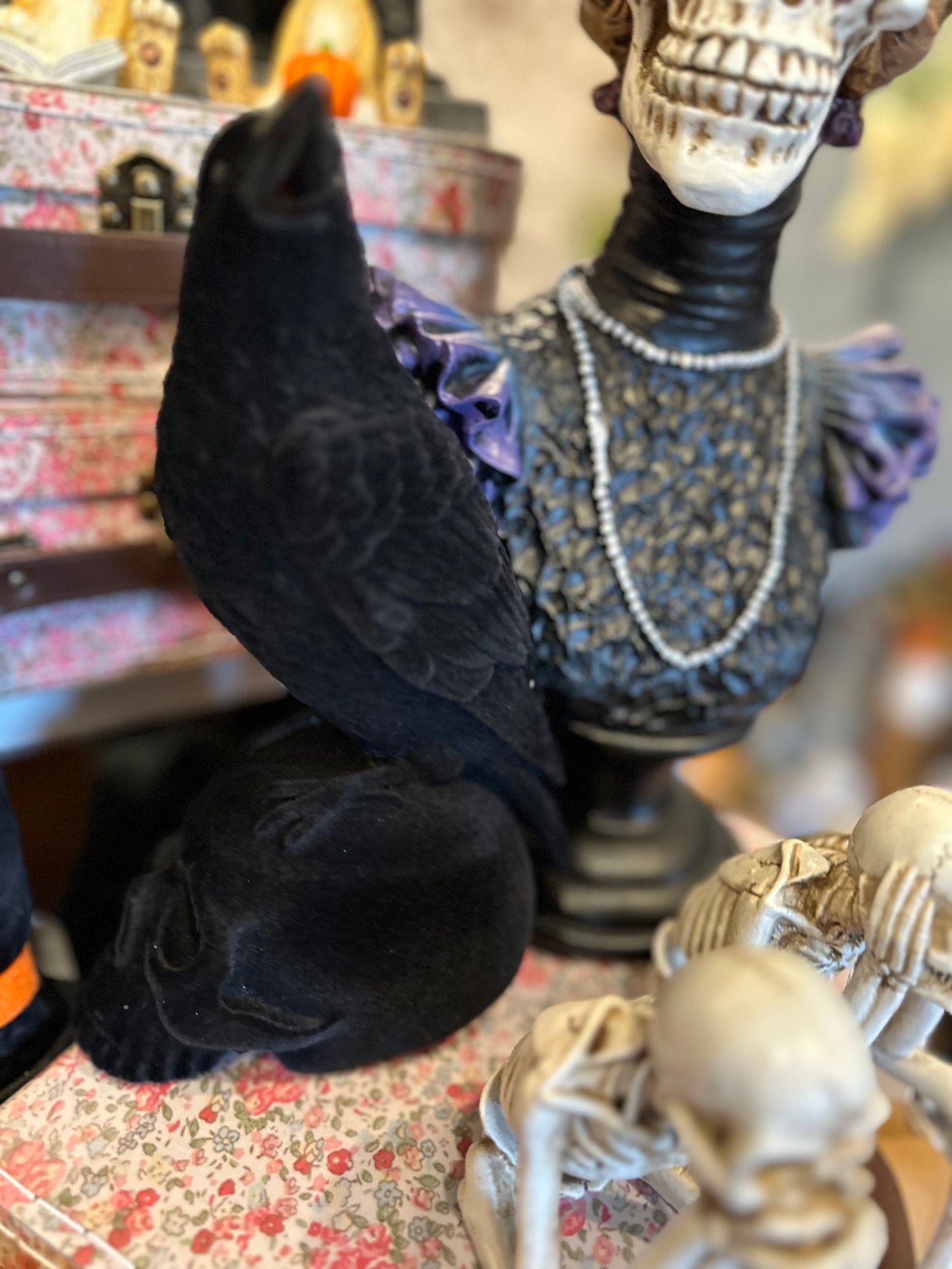 Black Velvet Crow and A Skull