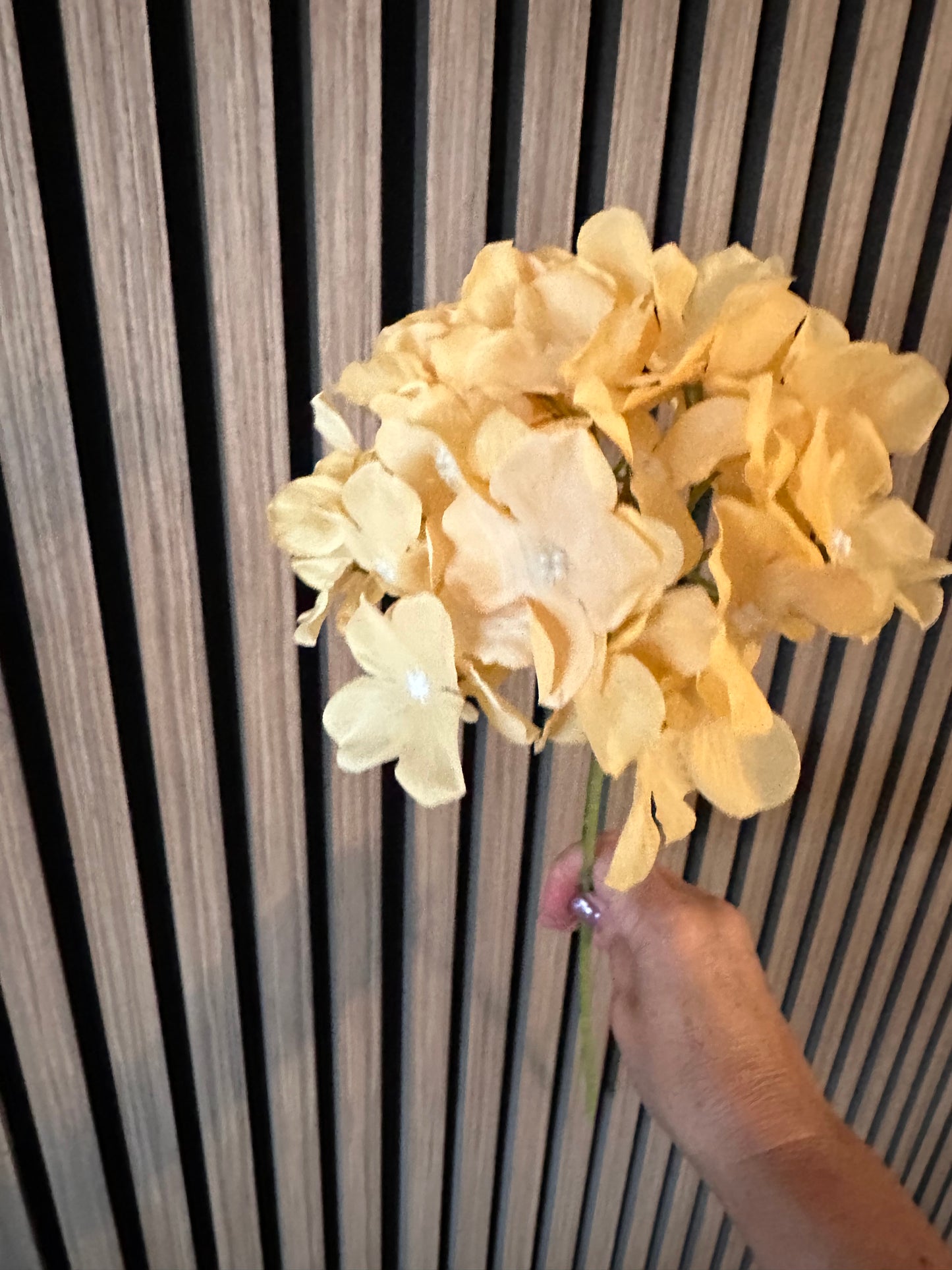 Yellow Hydrangea Thin Stem
