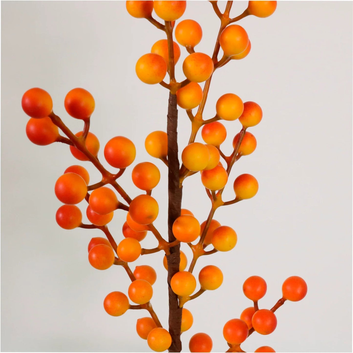 Seasonal Autumnal Orange Berries