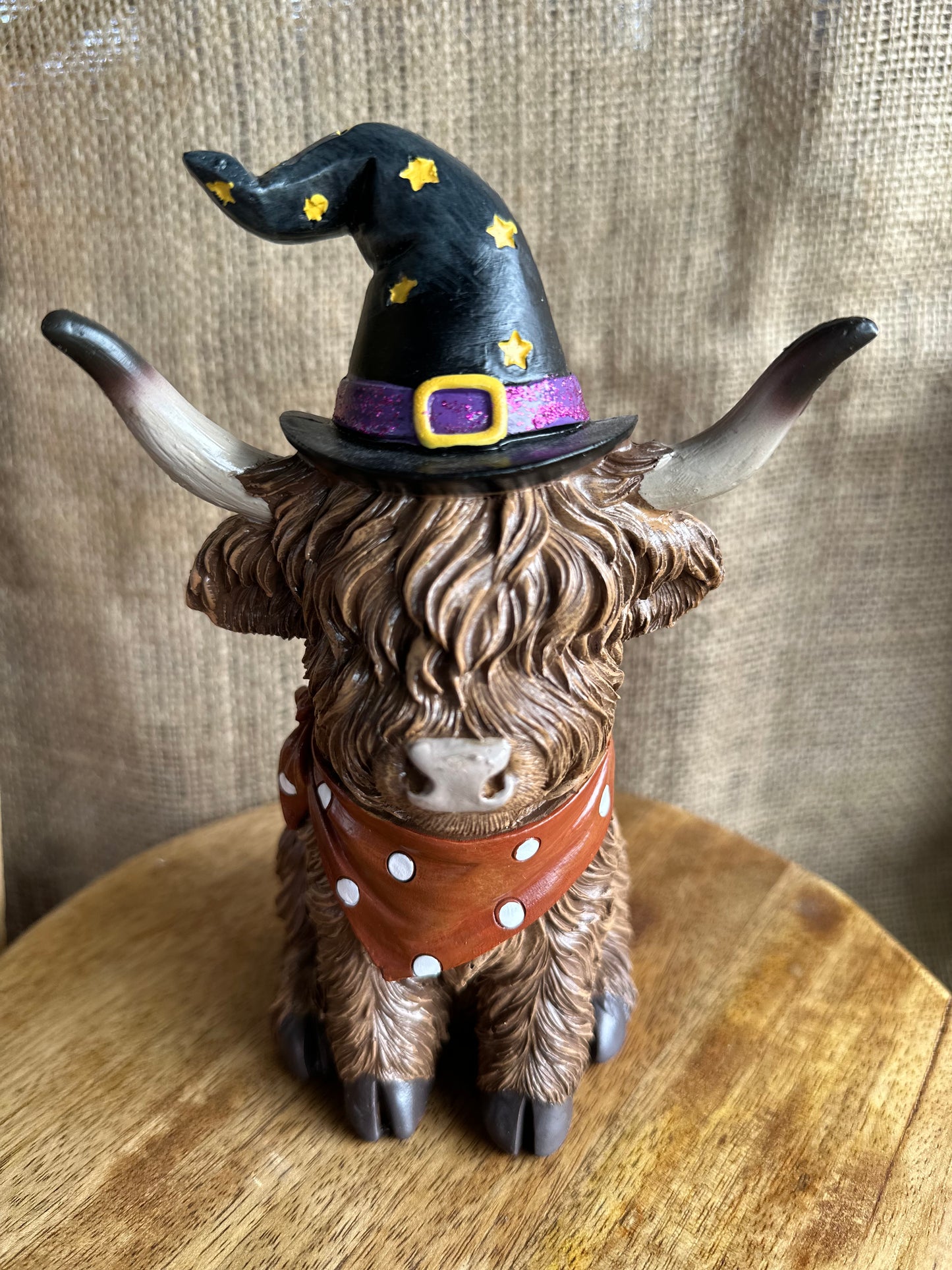 Decorative Large Witch Highland Cow