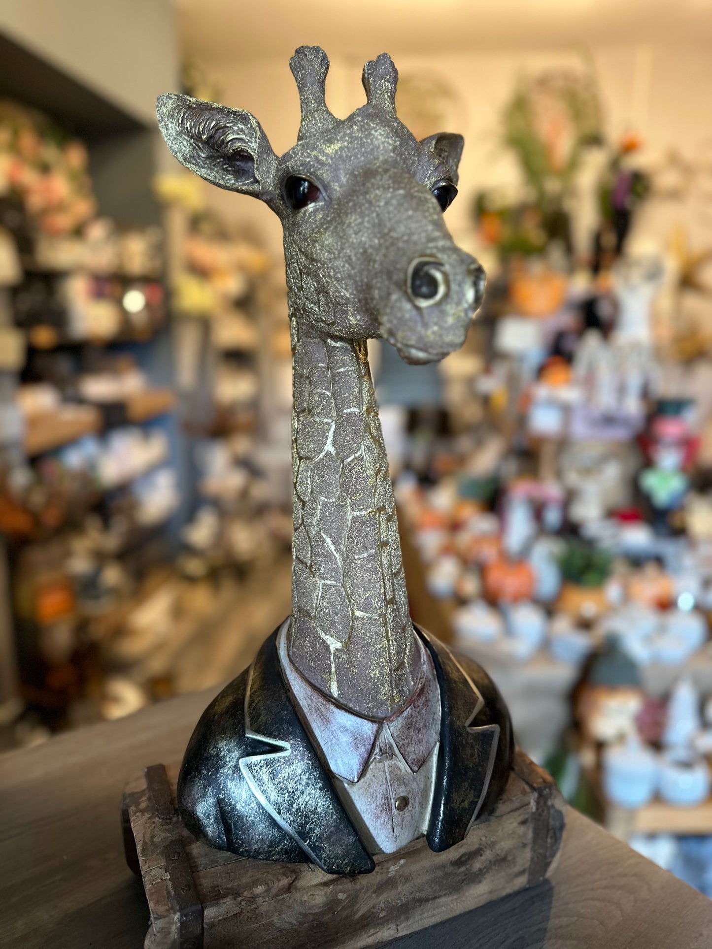 Stunning Large Quirky Gentleman Giraffe Bust