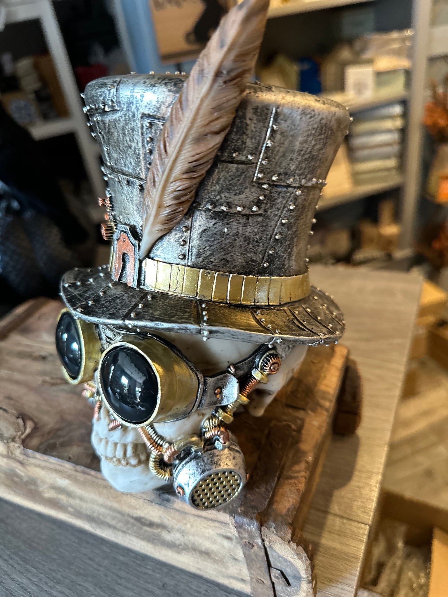 Steampunk Decorative  Skull