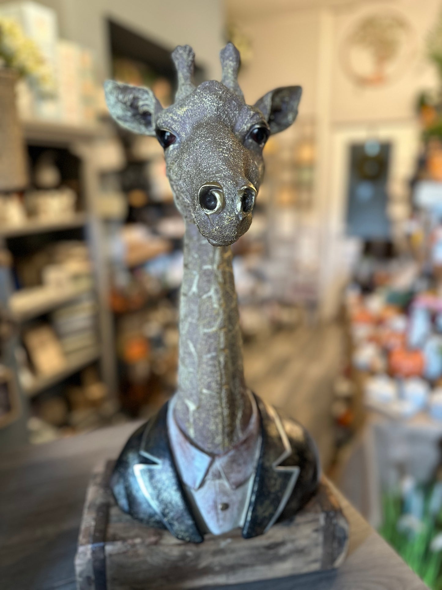 Stunning Large Quirky Gentleman Giraffe Bust