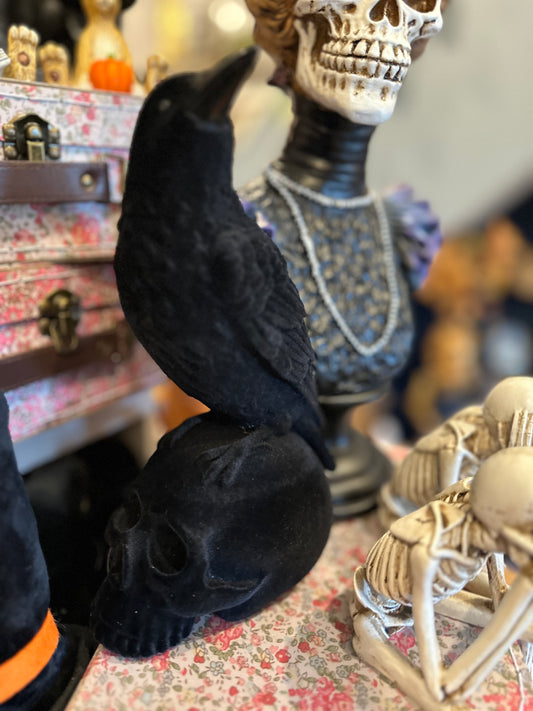 Black Velvet Crow and A Skull
