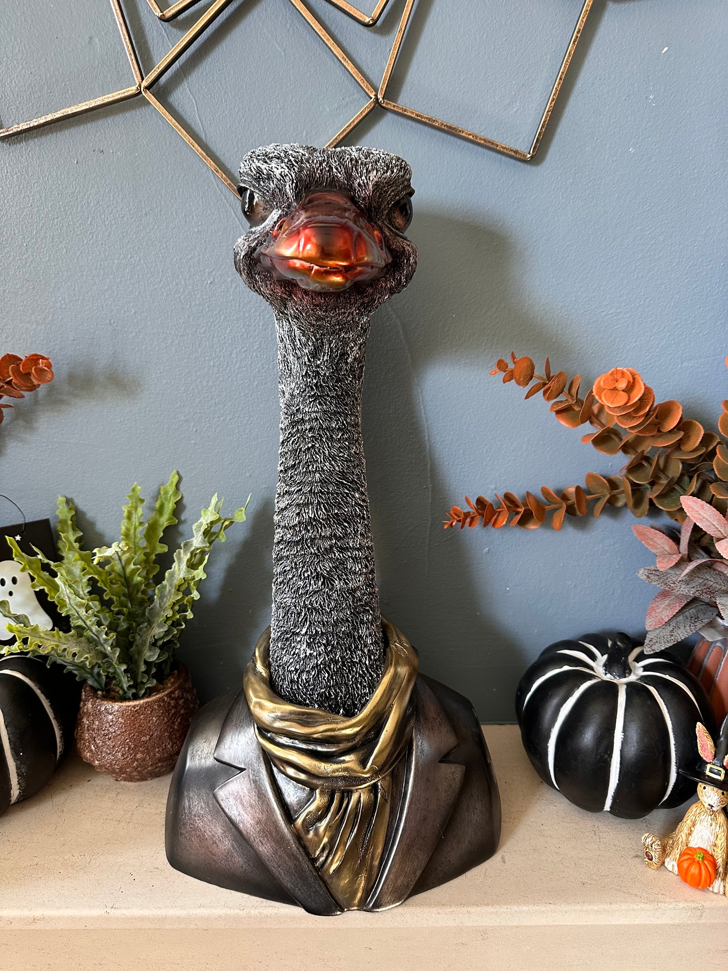 Decorative Quirky Emu
