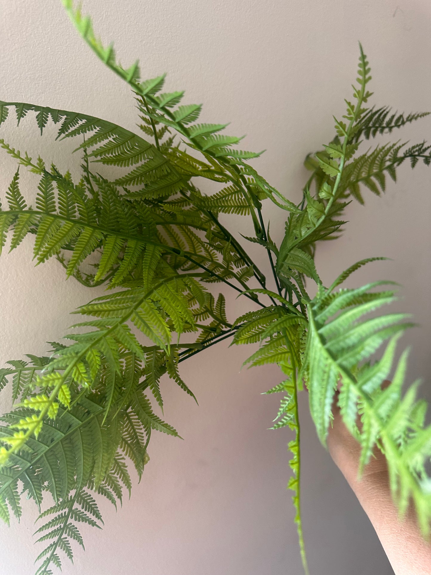 Faux Hay Fern
