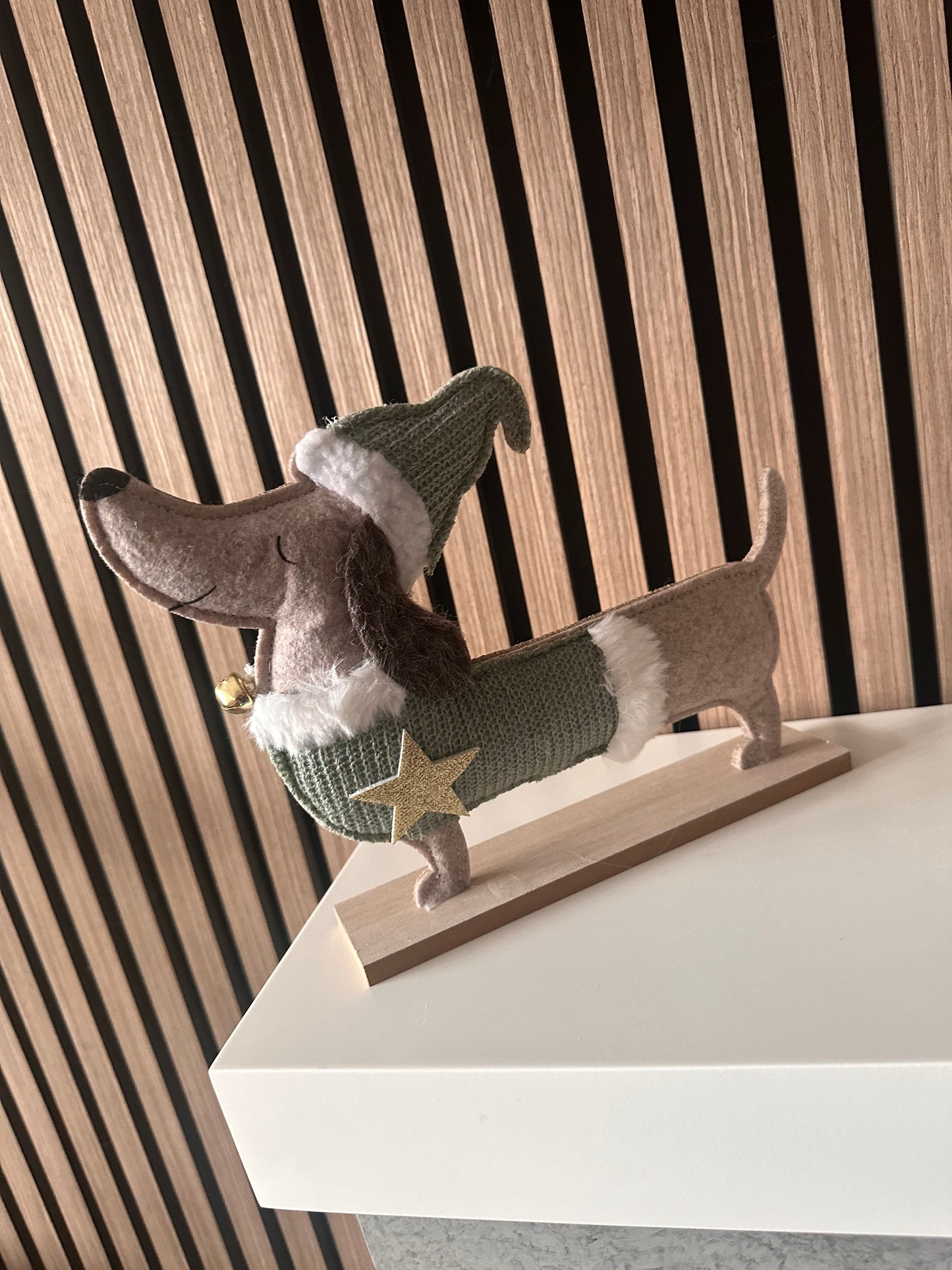 Sausage Dog In Green Coat And Hat