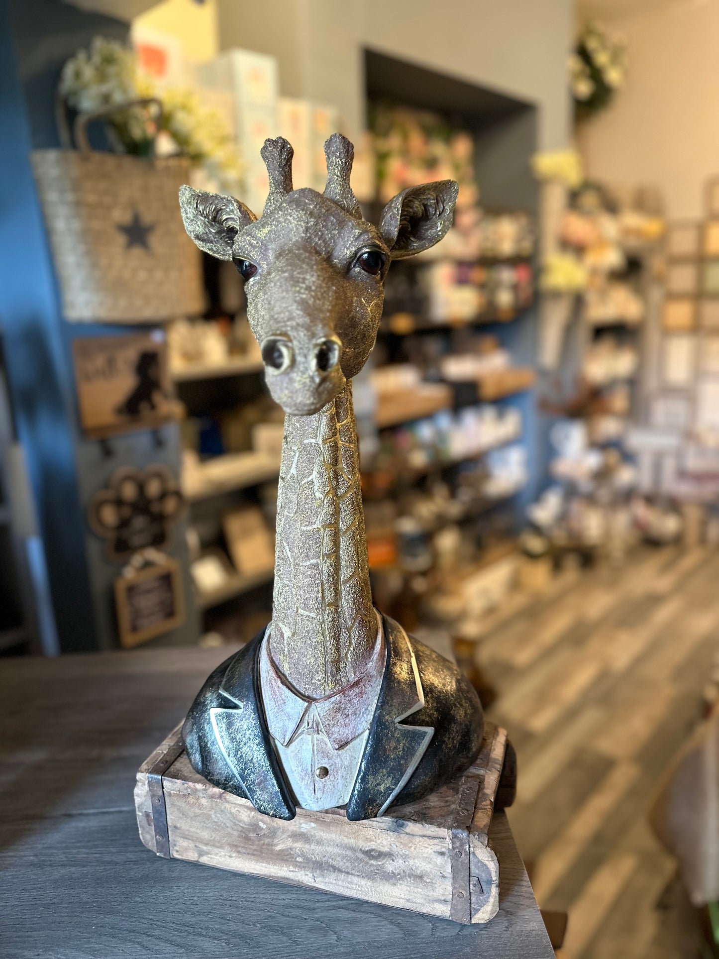 Stunning Large Quirky Gentleman Giraffe Bust