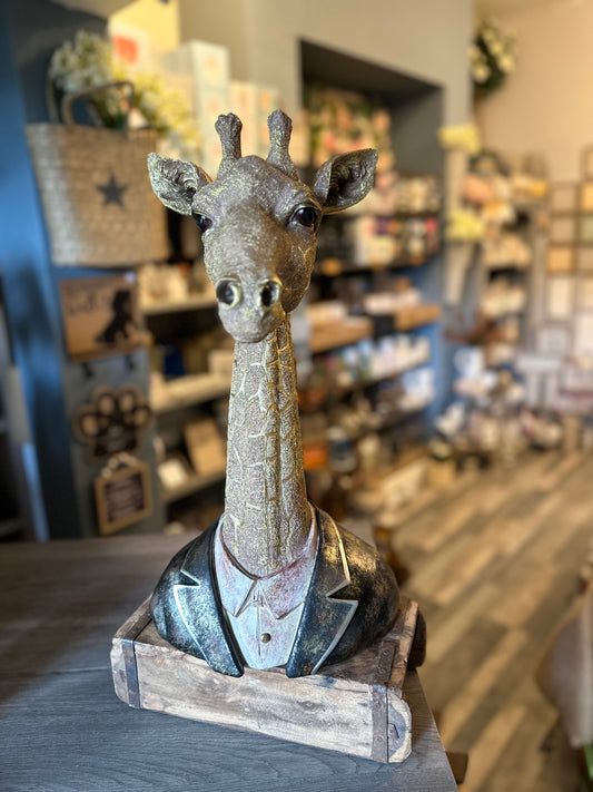 Stunning Large Quirky Gentleman Giraffe Bust