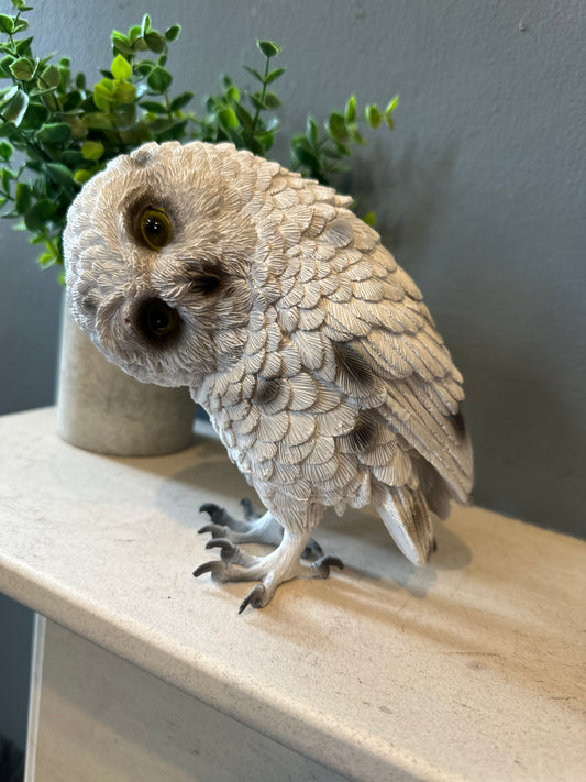 White Decorative Owl
