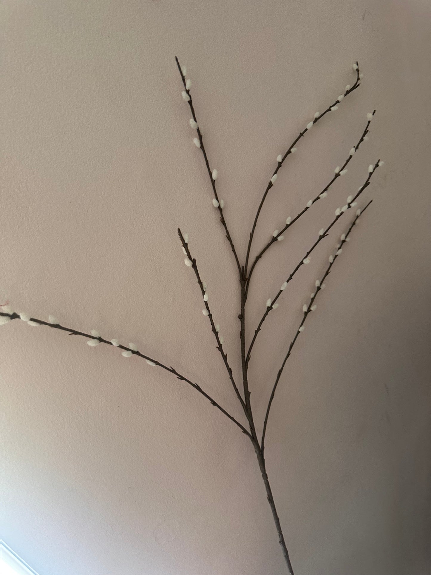 Faux Tall Pussy Willow Spray