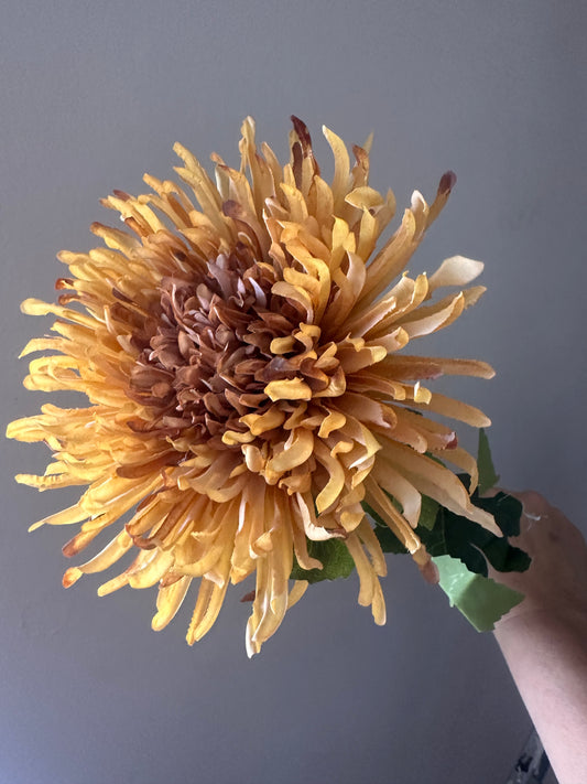 Faux Fuji Flower Stem ~ Honey