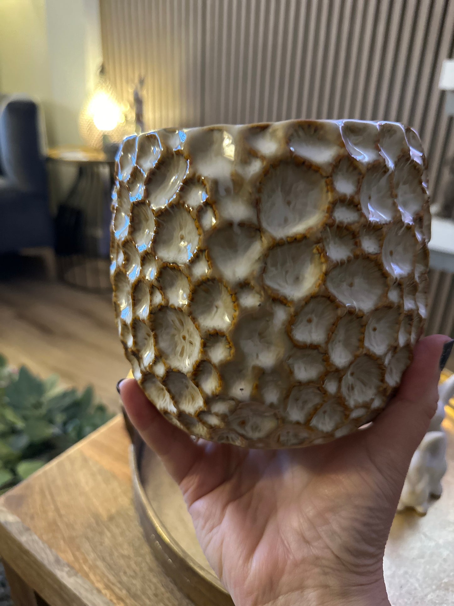 Natural Crater Cover Pot