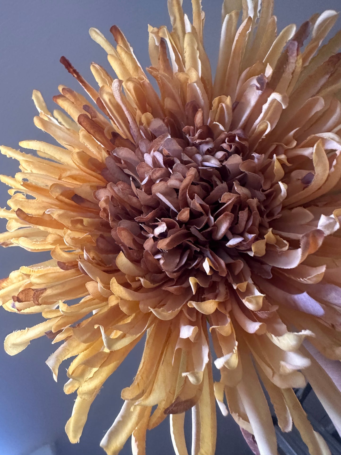 Faux Fuji Flower Stem ~ Honey