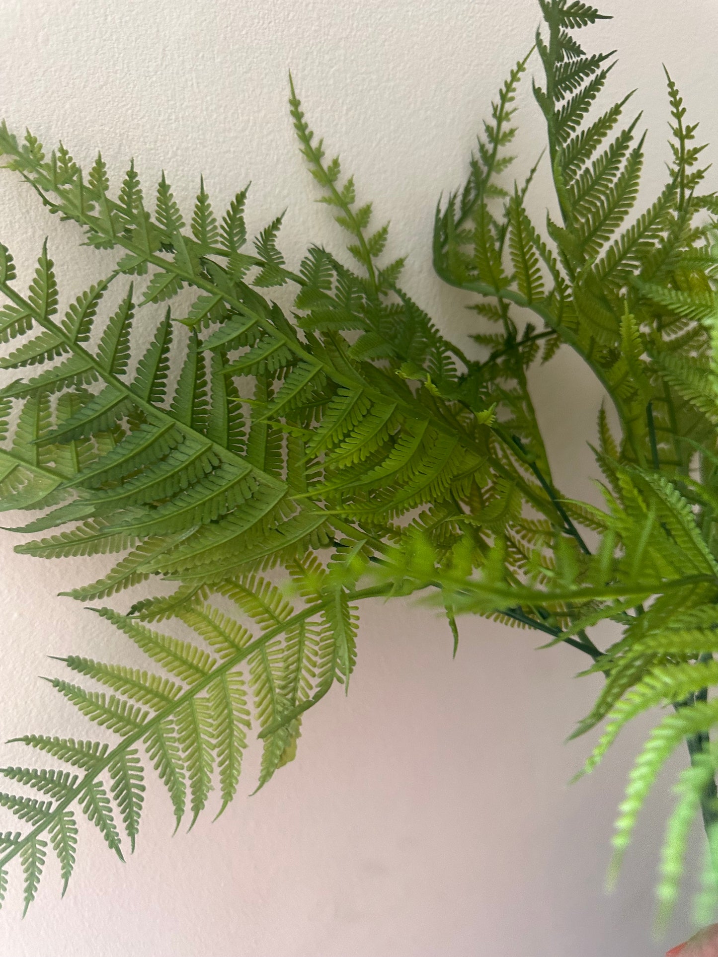 Faux Hay Fern