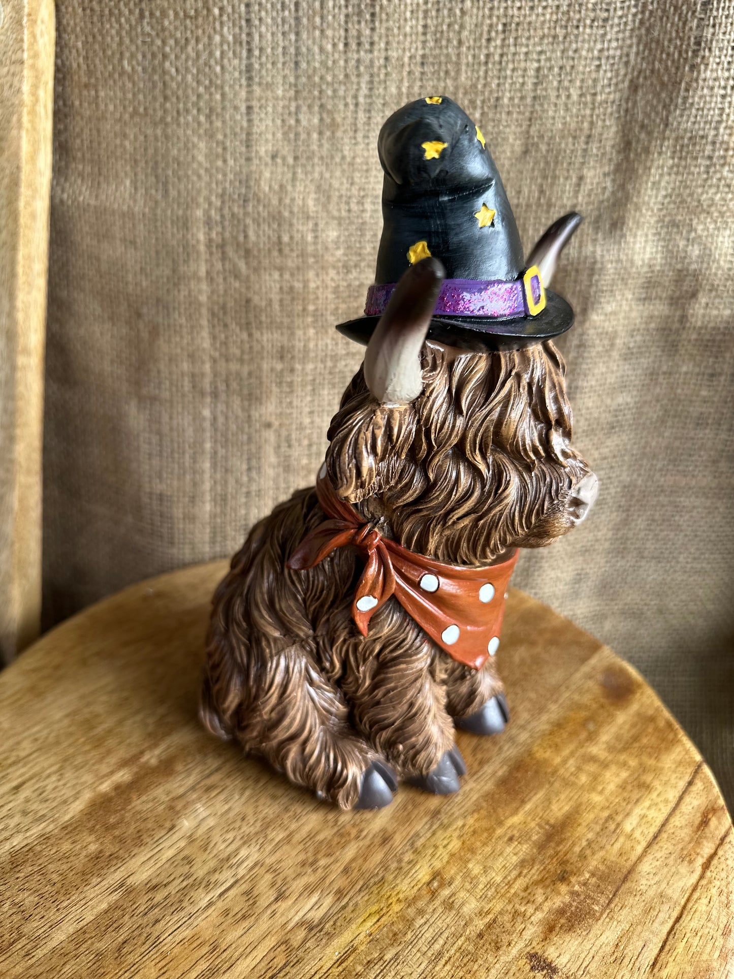 Decorative Large Witch Highland Cow