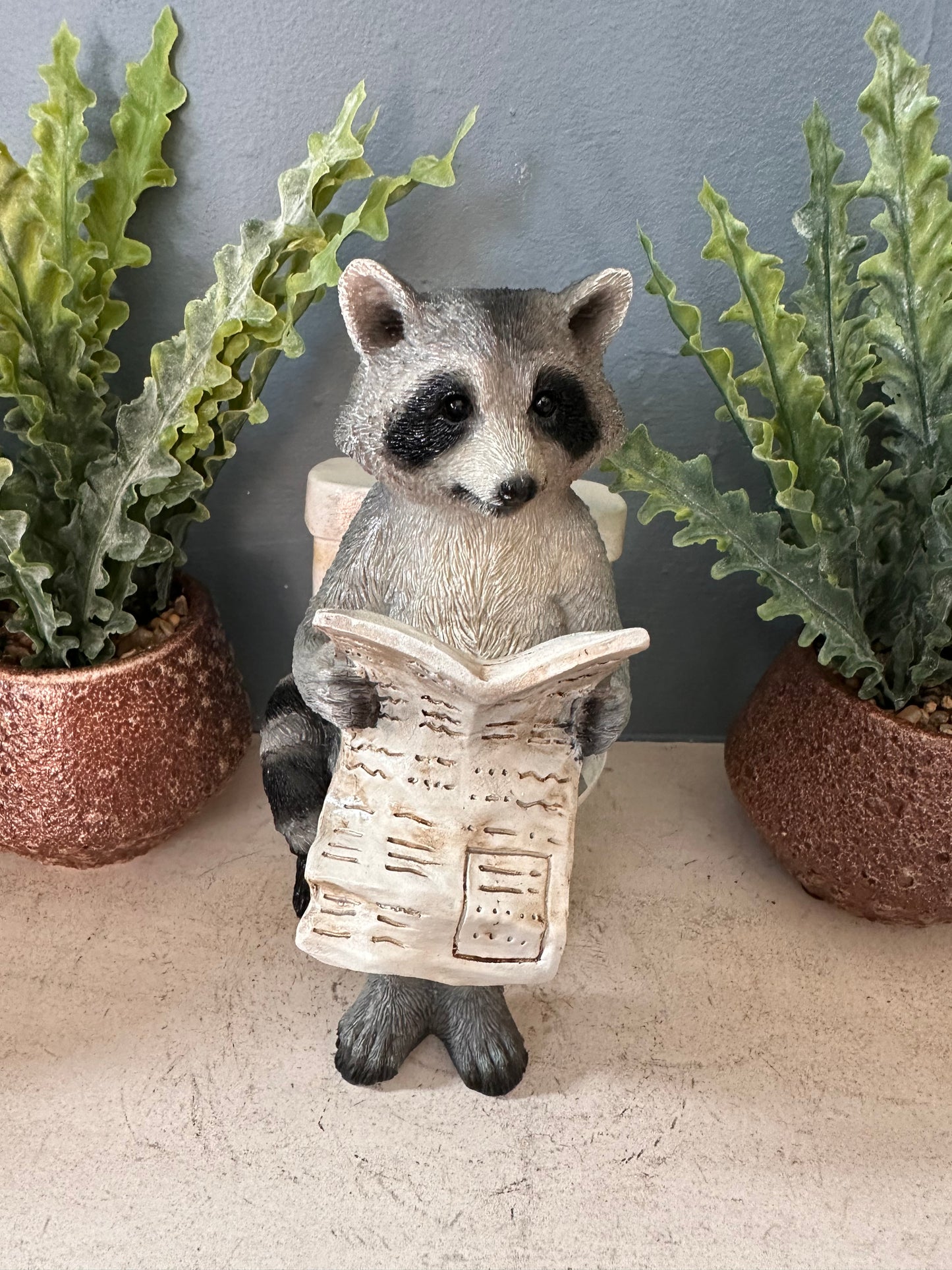 Decorative Racoon on a Loo