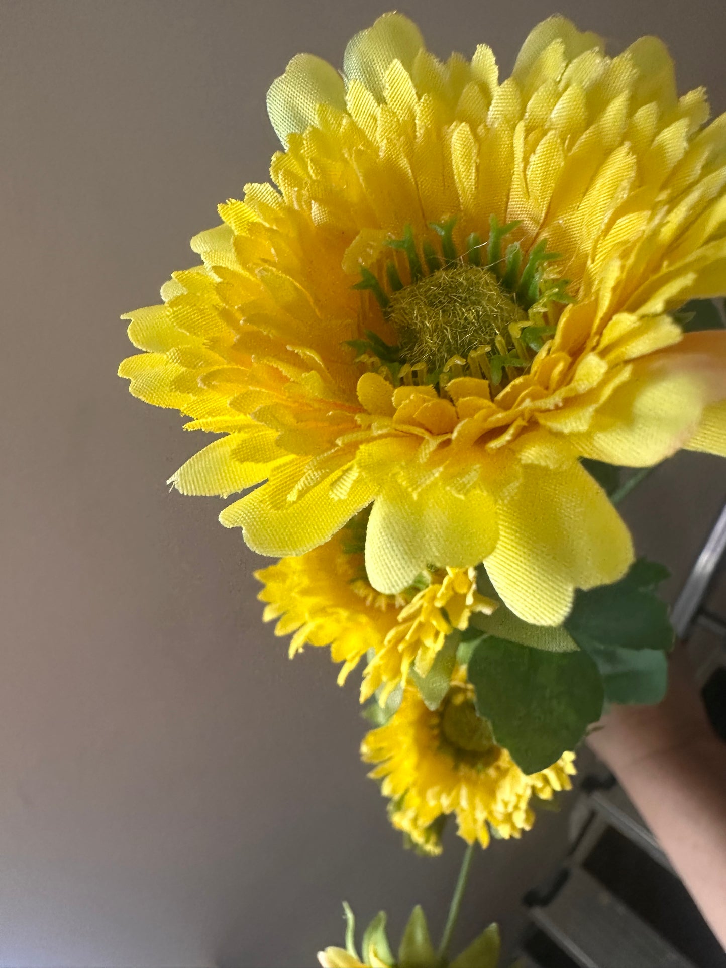 Wild Gerbera Spray ~ Yellow