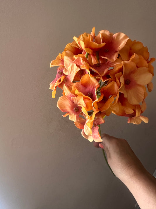 Orange Hydrangea Thin Stem
