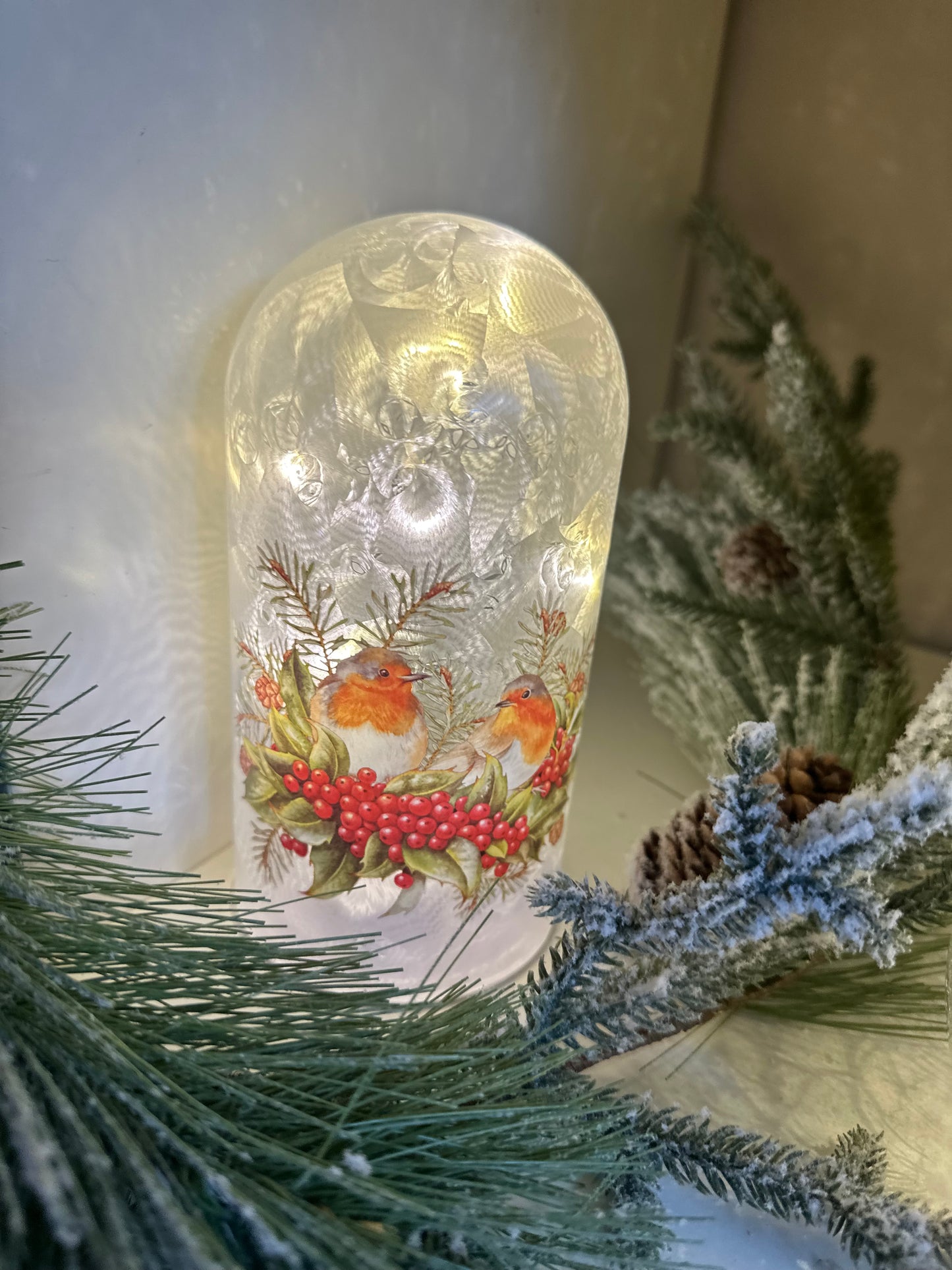 Robin Shaped Dome LED Decor