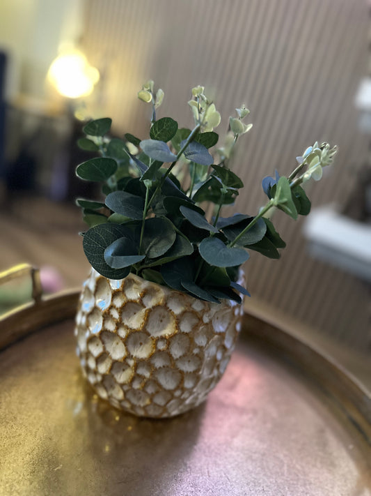 Natural Crater Cover Pot