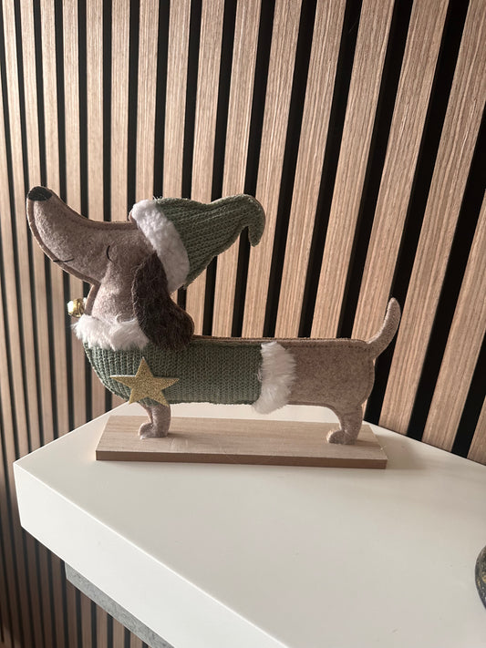 Sausage Dog In Green Coat And Hat