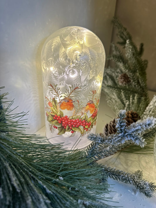 Robin Shaped Dome LED Decor