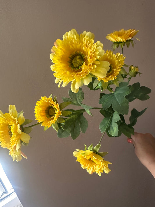 Wild Gerbera Spray ~ Yellow