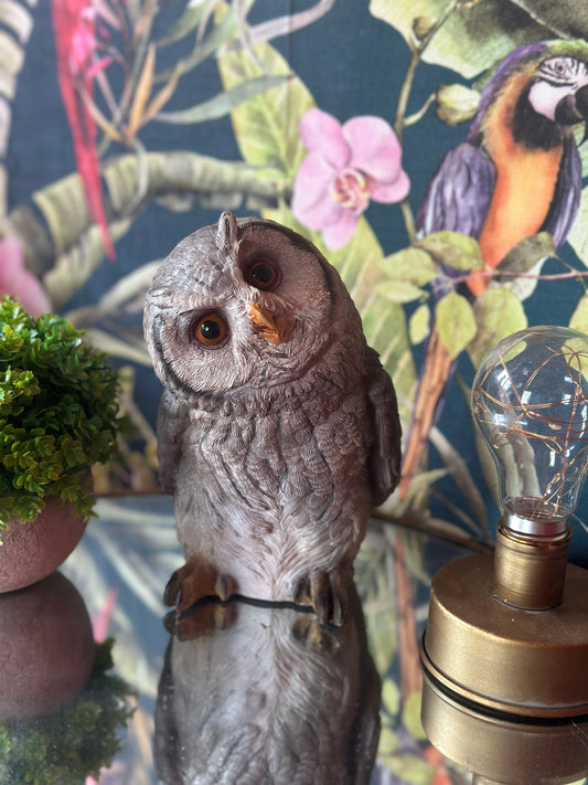 Coloured Decorative Owl