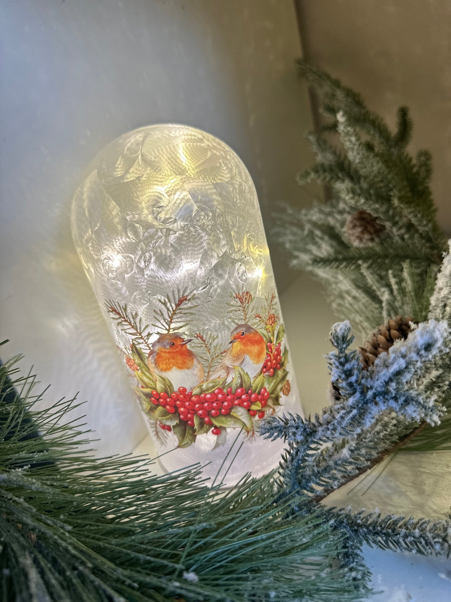 Robin Shaped Dome LED Decor