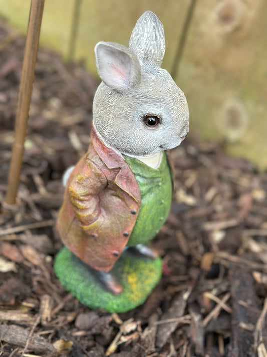 Unusual Dressed Decorative Rabbit Garden Decor