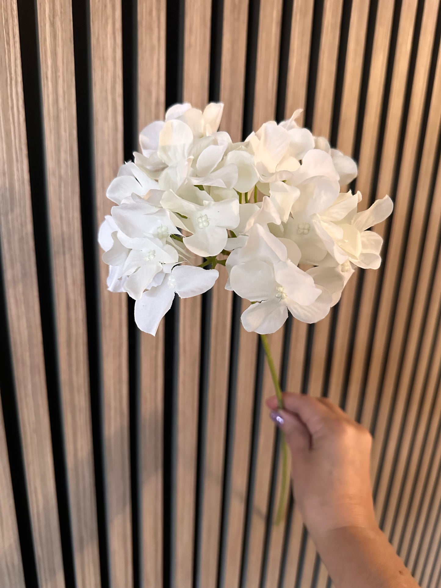 White Hydrangea Thin Stem