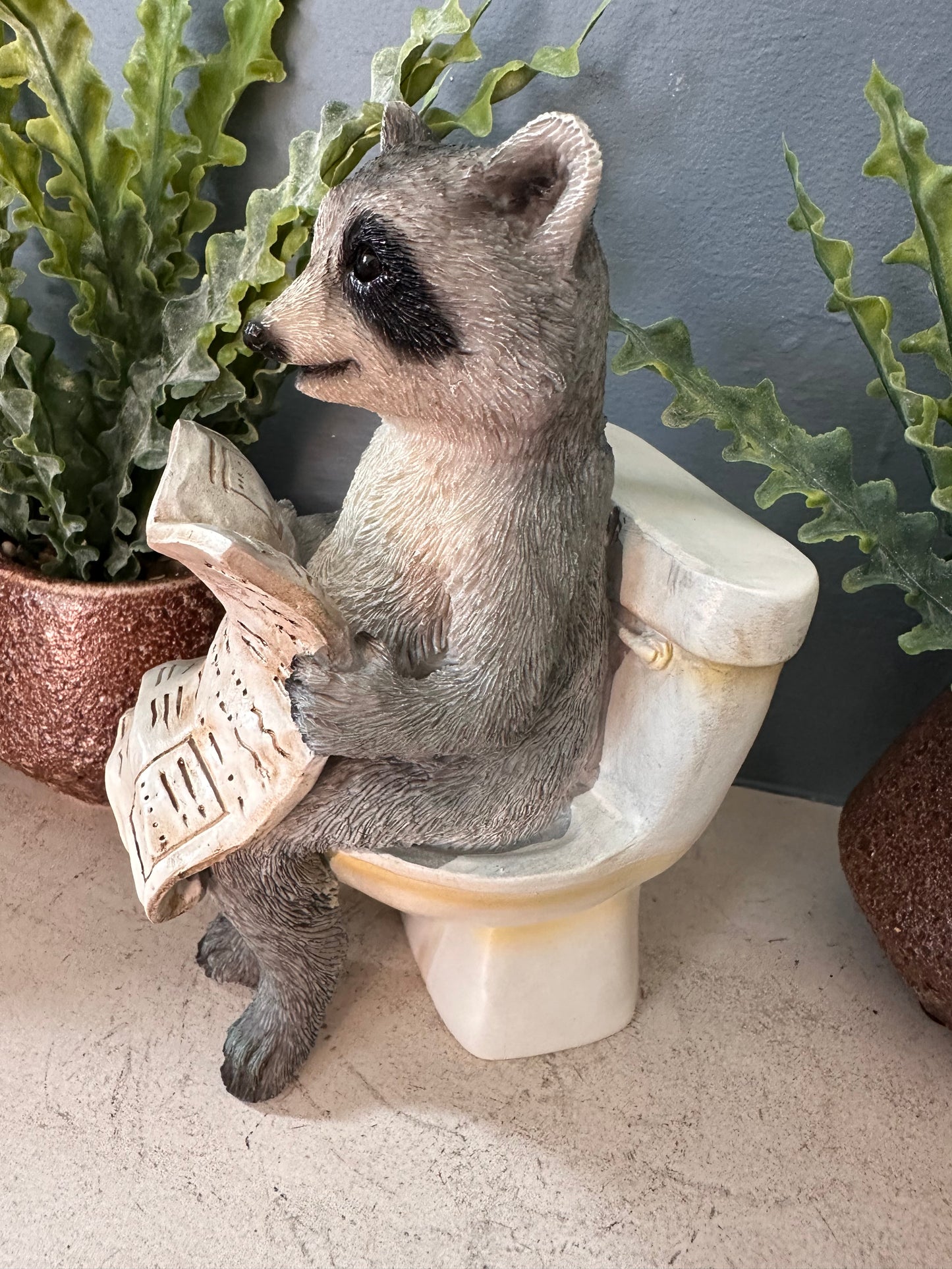 Decorative Racoon on a Loo
