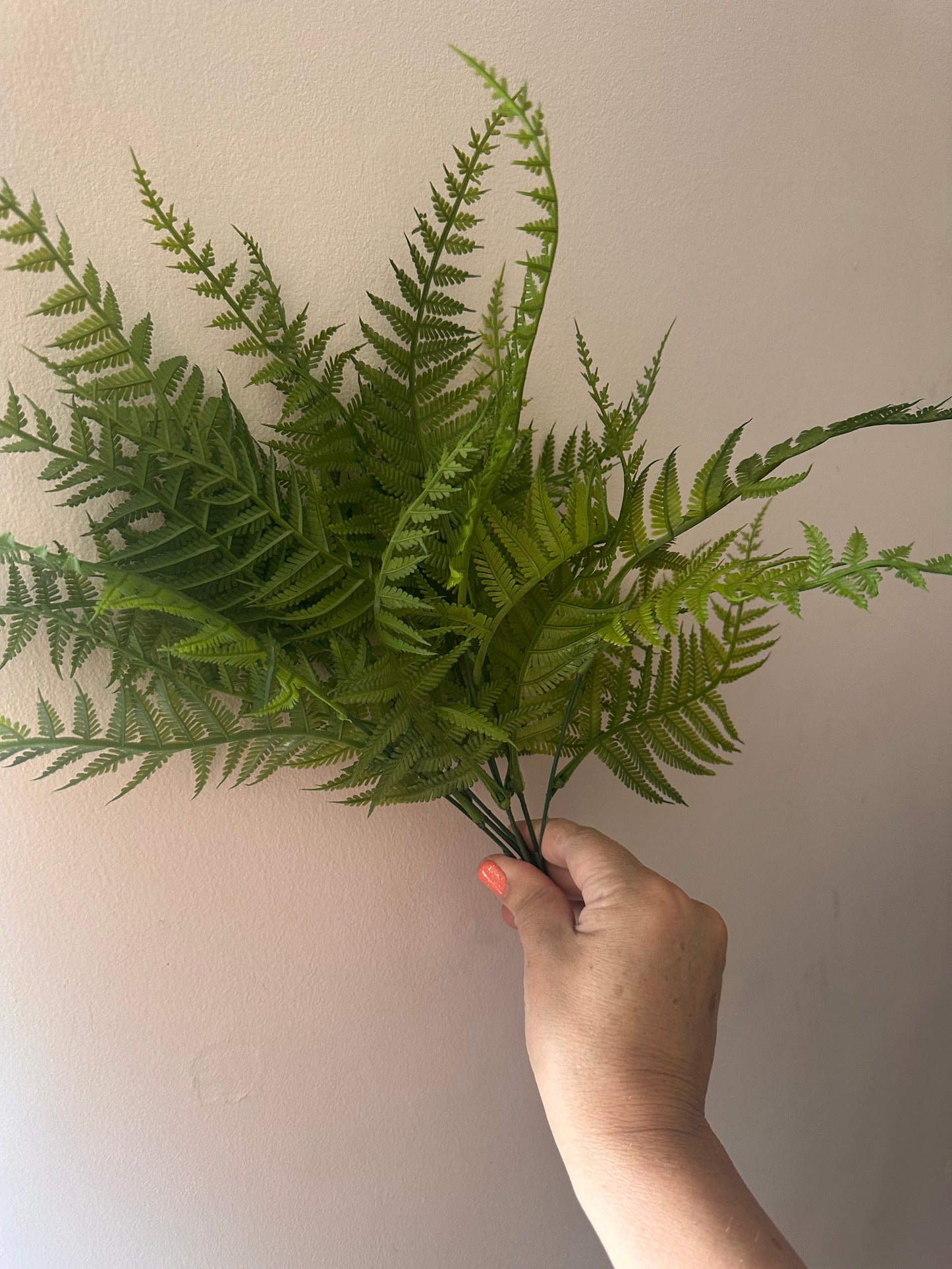 Faux Hay Fern