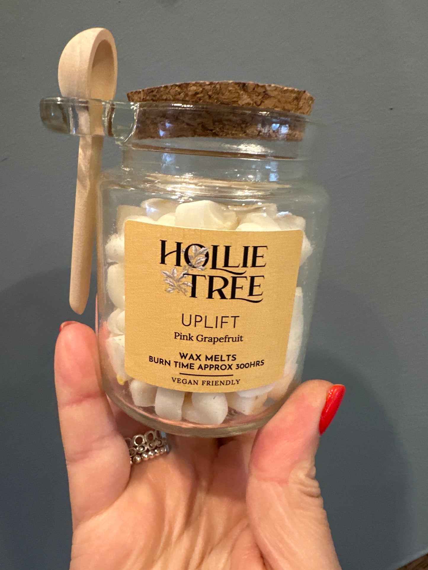 Hollie Tree Melting Wax Pot Melts ~ Burn Time of around 300Hrs