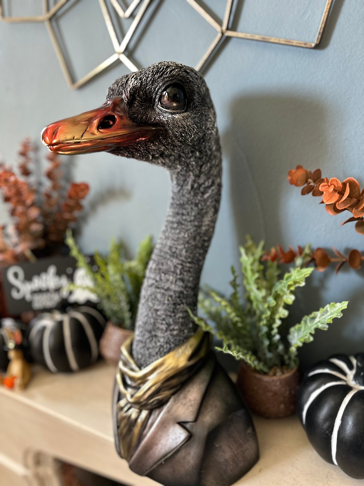 Decorative Quirky Emu