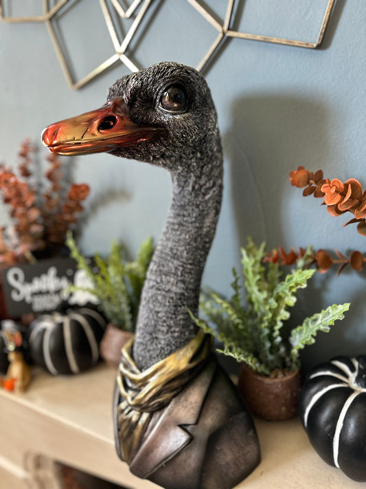 Decorative Quirky Emu