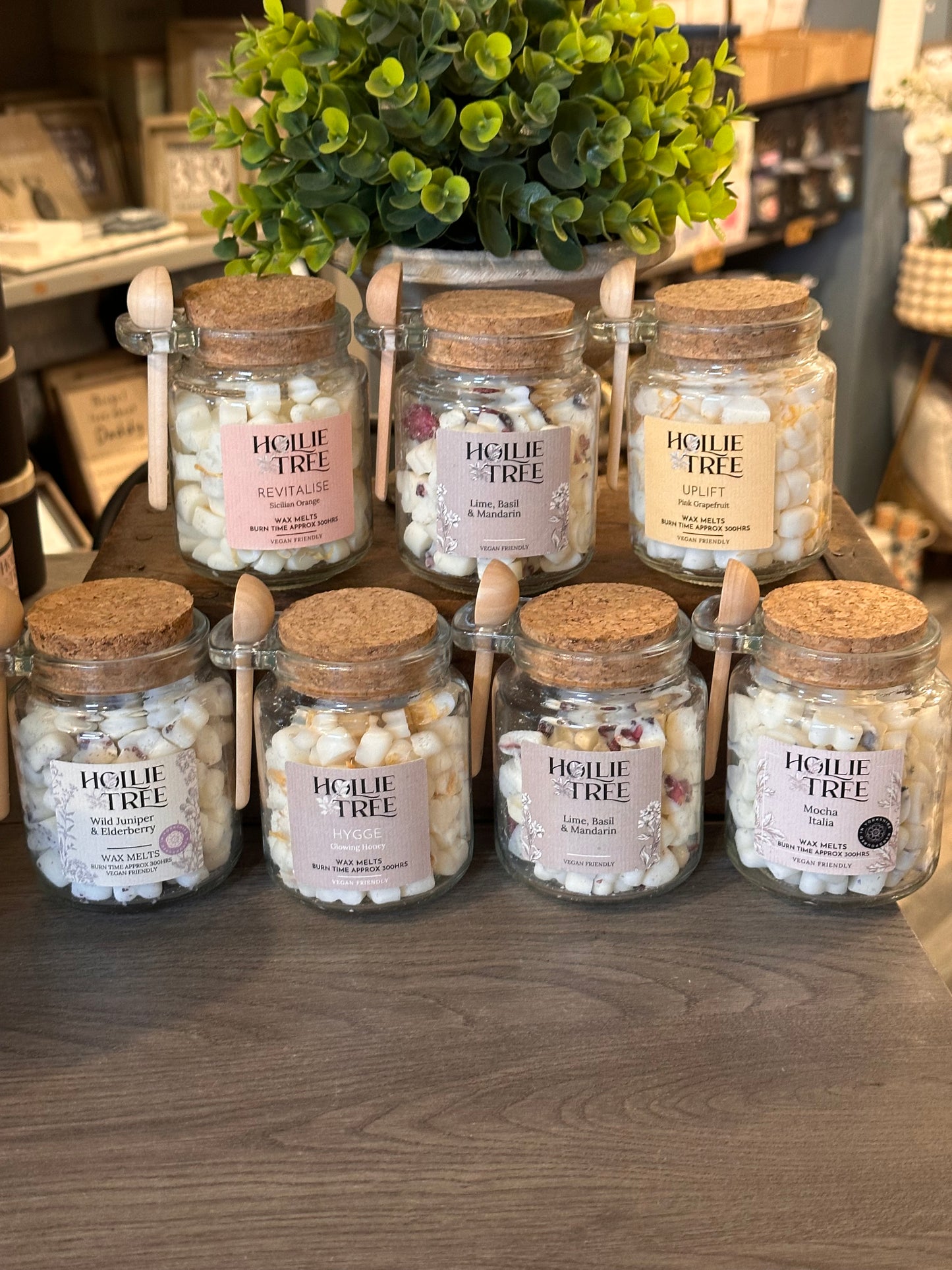 Hollie Tree Melting Wax Pot Melts ~ Burn Time of around 300Hrs