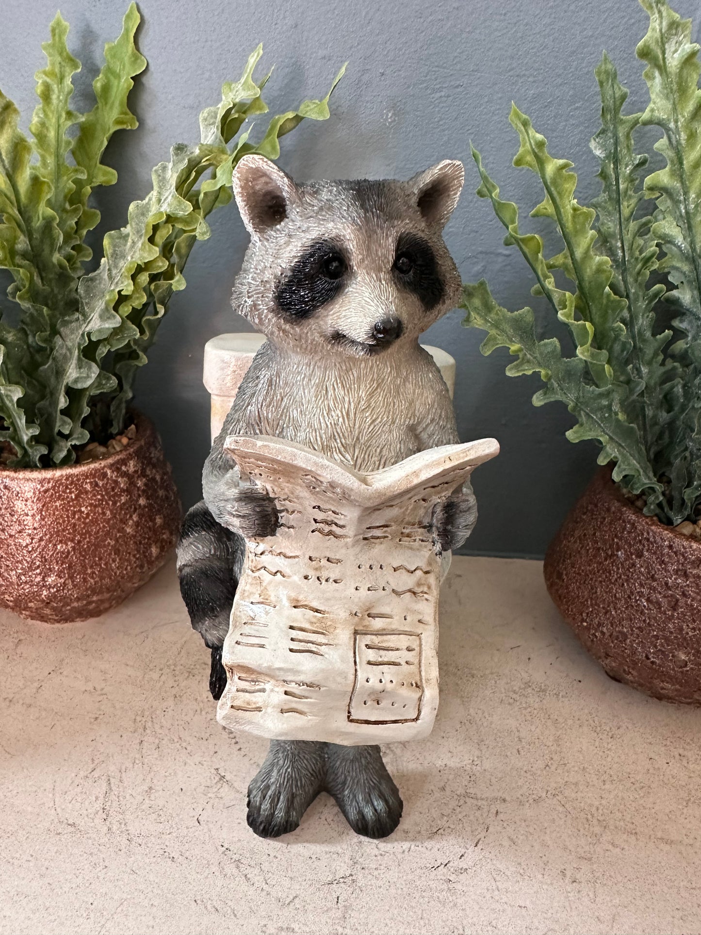 Decorative Racoon on a Loo