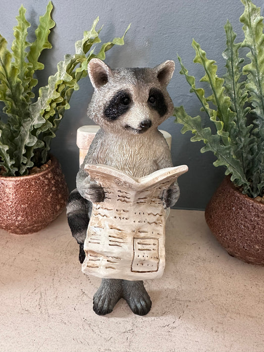 Decorative Racoon on a Loo
