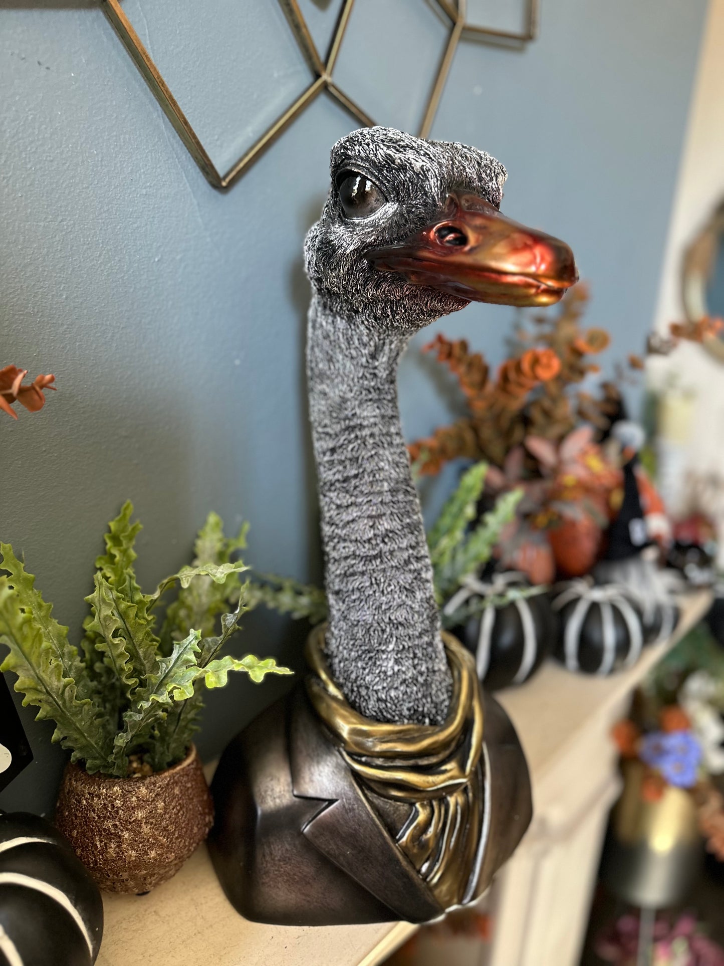 Decorative Quirky Emu