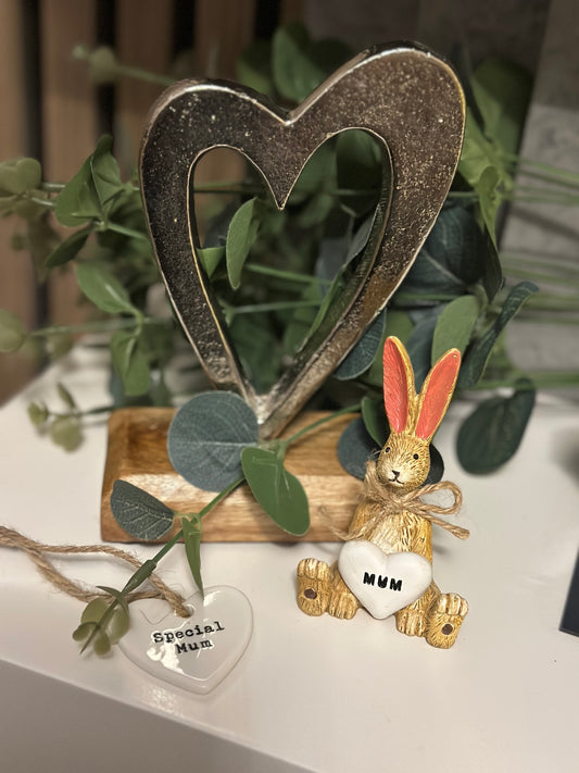 Cute Sitting Mum Heart Rabbit